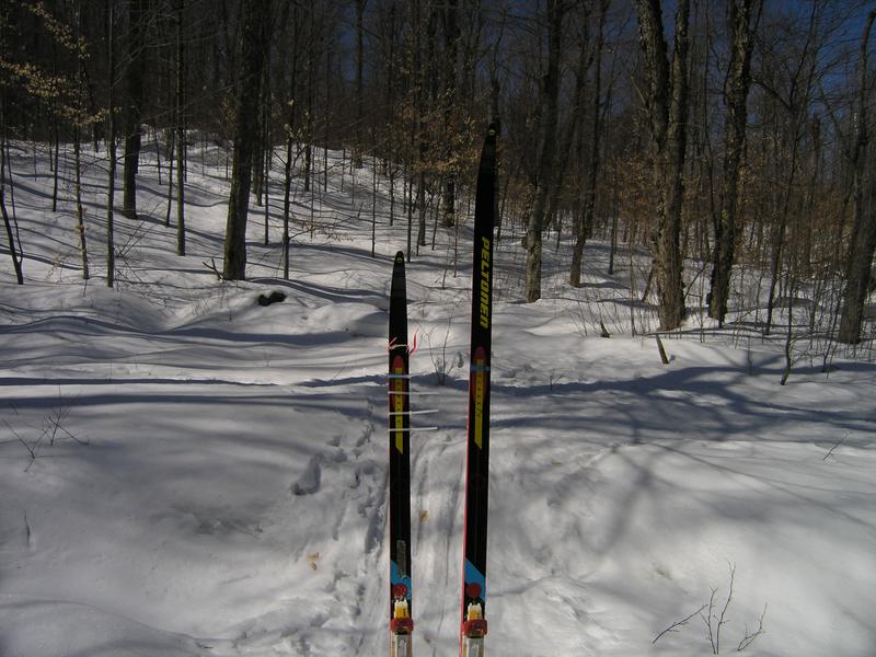 Skiing14