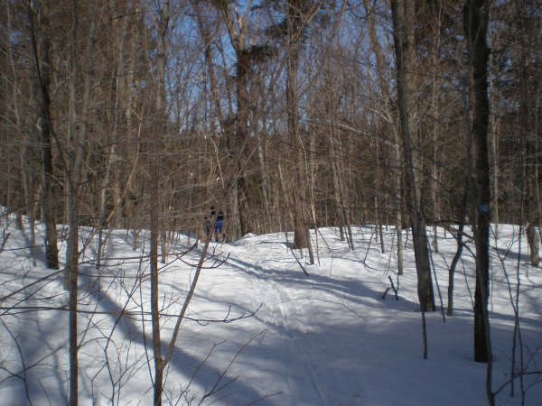 cross country skiing in gatineau park